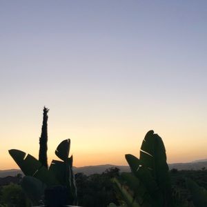 Meet your Posher, Kennedy